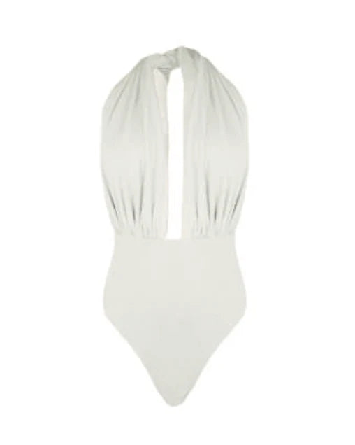 SKYN30-SKYLER SWIMWEAR-PLUNGE NECK ONE PEICE-F2320