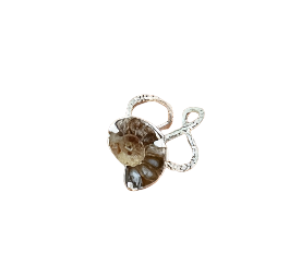 ZAC01-ZACBE-ANILLO ARAÑA PLATA-S4300