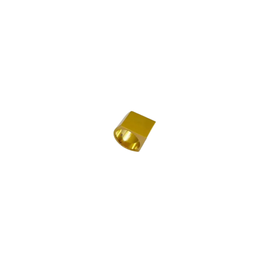 FELN29-FELINA-ANILLO CASA-S4900