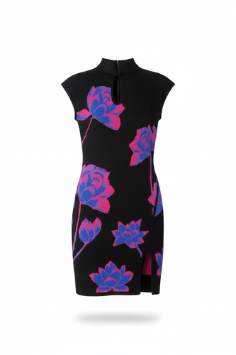 ANYU33-ANNAISS YUCRA-GOTA MINI DRESS-S7139