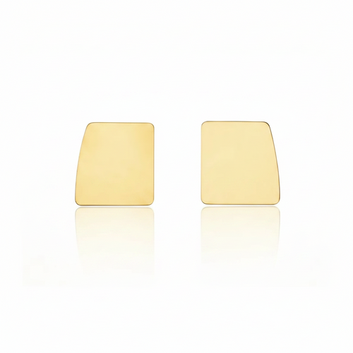 FELN108-FELINA-ARETES AMORFO LISO-S4200