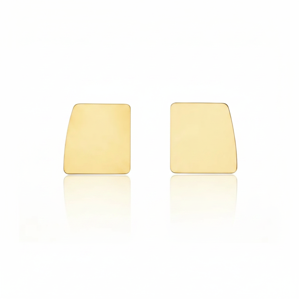 FELN108-FELINA-ARETES AMORFO LISO-S4200