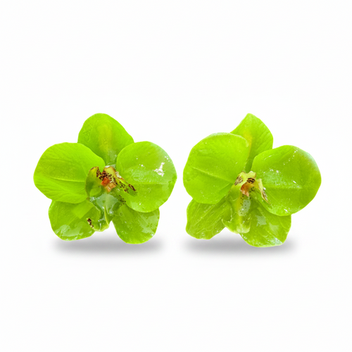 LUP54-LUCIA PIÑA-ARETES DE FLORES EN RESINA -S1624