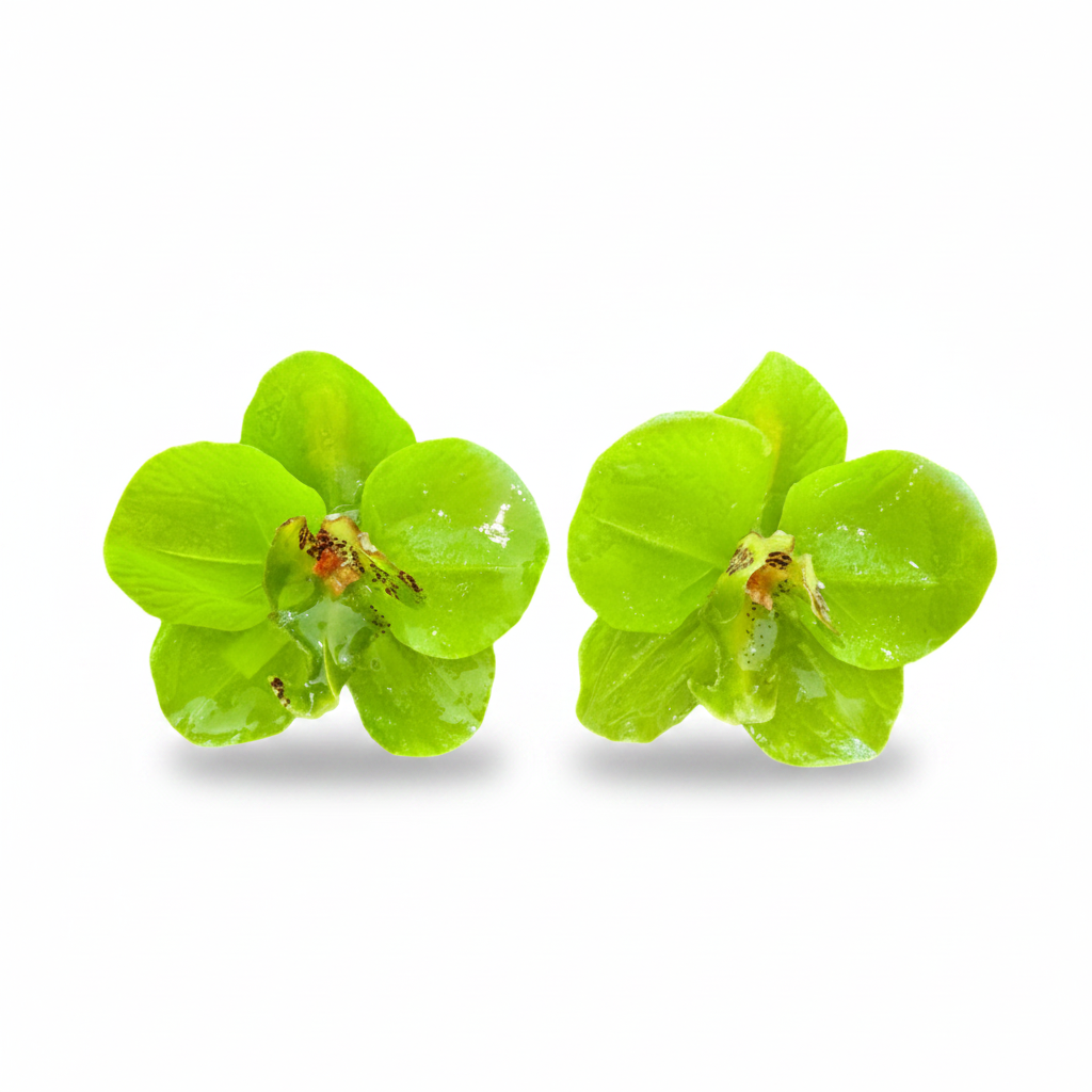 LUP54-LUCIA PIÑA-ARETES DE FLORES EN RESINA -S1624