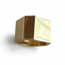 FELN28-FELINA-ANILLO CASA MODIFICADO-S4900