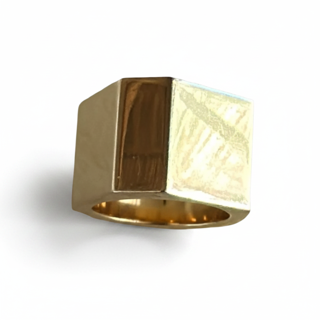 FELN28-FELINA-ANILLO CASA MODIFICADO-S4900