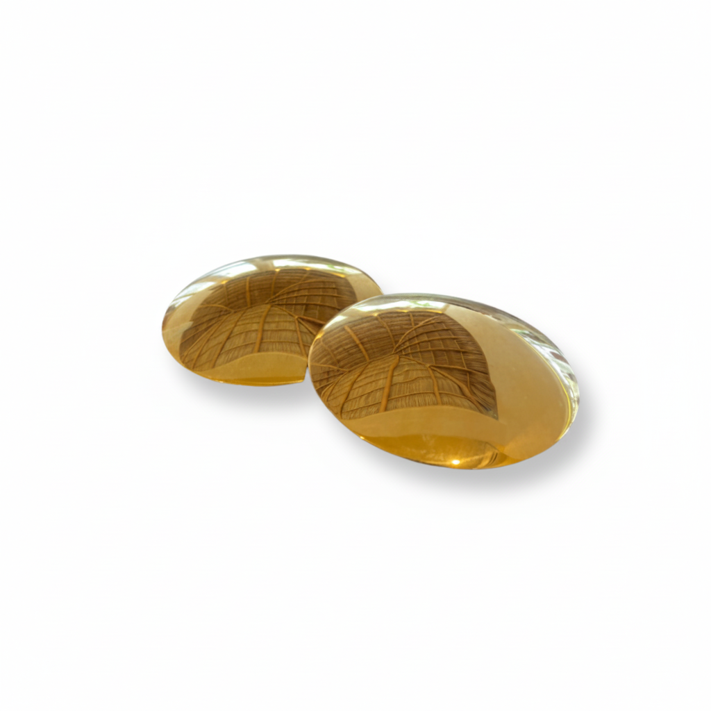 FELN112-FELINA-ARETES OVNI-S6500