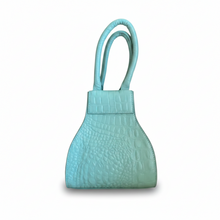 OLM10- OLMOS Y FLORES- BOLSA CANTARITO